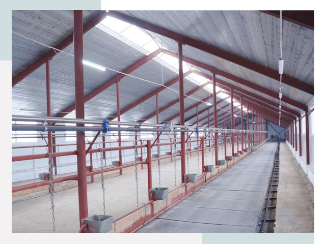 Строительство коровников в Глазове от 612 руб.