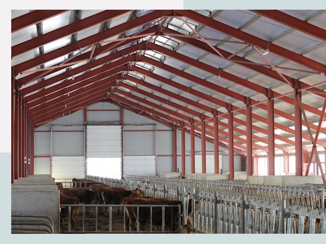 Строительство коровников в Глазове