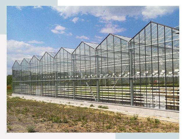 Строительство теплиц в Глазов от 612 руб. за м²