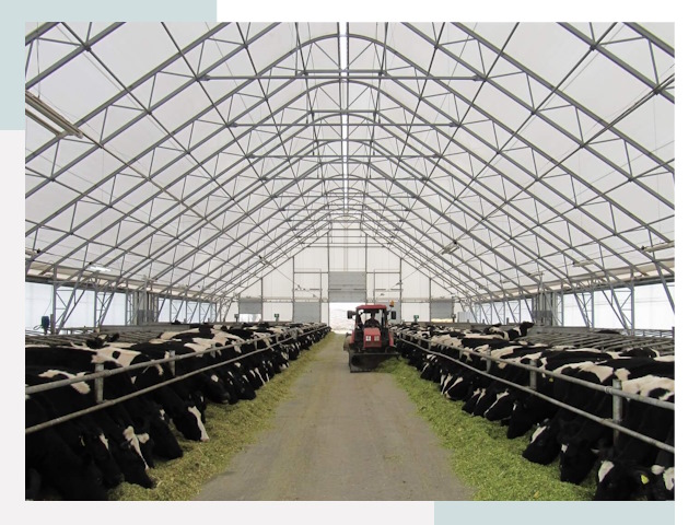 Тентовые коровники в Глазове от 612 руб. - Надежно и доступно