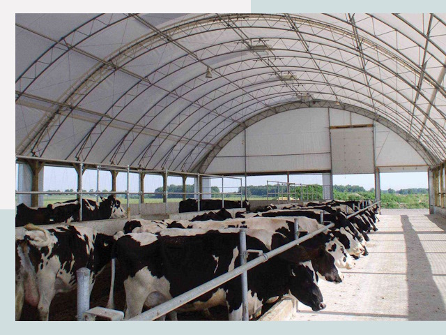 Тентовые коровники в Глазове